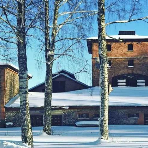 Medverka vid julmarknaden i Hyttan Axmar bruk