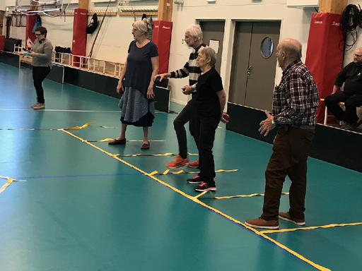 Fortsatt kostnadsfri rörelsesatsning för seniorer i Gävle