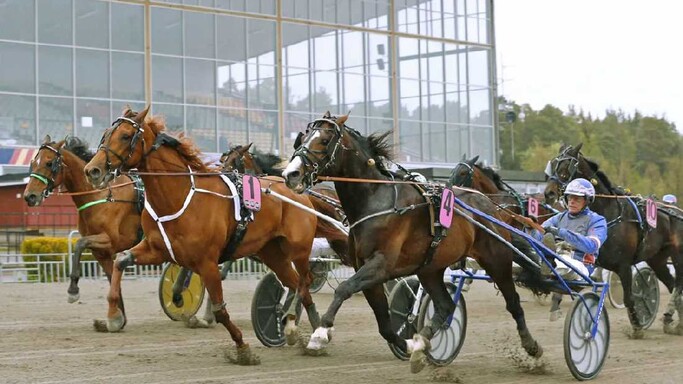 Stjärnspäckad kallblodskväll på Gävletravet