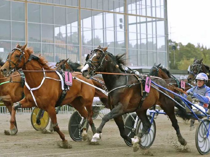 Stjärnspäckad kallblodskväll på Gävletravet