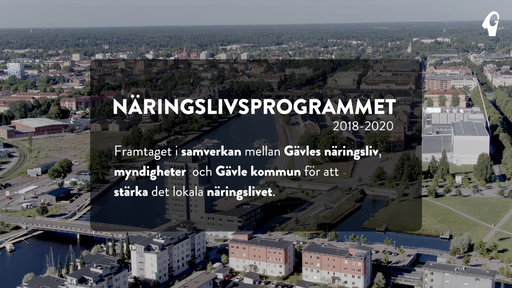 Näringslivsprogrammet Gävle kommun