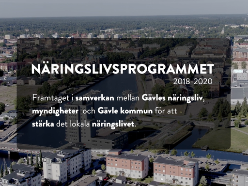 Vad innebär Gävle kommuns näringslivsprogram?